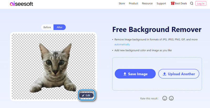 Aiseesoft Online Bg Remover Preview The Results