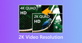 Resolución de video 2K