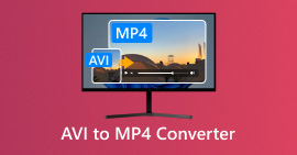 Convertidor AVI a MP4