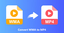 Convertir WMA a MP4