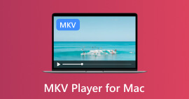 Reproductor MKV Mac