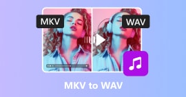 MKV a WAV