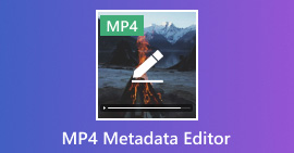 Editor de metadatos MP4