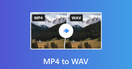 MP4 a WAV