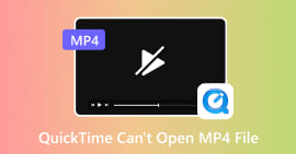 QuickTime no puede abrir archivos MP4