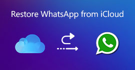 Restaurar WhatsApp desde iCloud