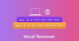 Removedor vocal