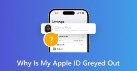 ¿Por qué mi ID de Apple aparece en gris?