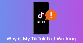 ¿Por qué mi TikTok no funciona?