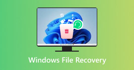 Recuperación de archivos de Windows