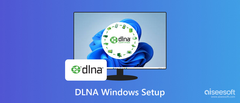 DLNA Windows Setup