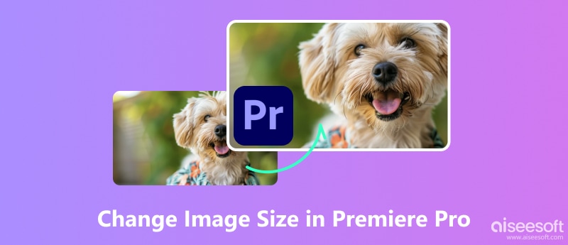 Change Image Size in Premiere Pro