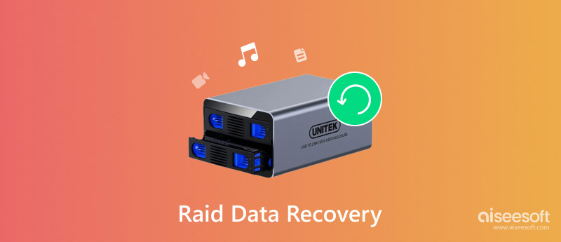 Raid Data Recovery