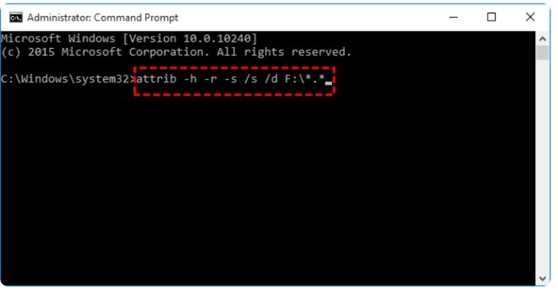 Run Command to Reveal Hidden Files